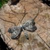 Tiny 20161121182436 0c4961c3 dragonfly necklace asimenio