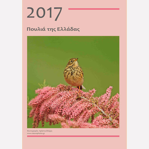 Ημερολόγιο 2017 - χαρτί, ημερολόγια