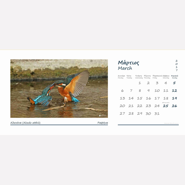 Ημερολόγιο 2017 - μοναδικό, χαρτί, ημερολόγια - 2