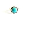 Tiny 20170811193422 583136b9 turquoise plated epargyro