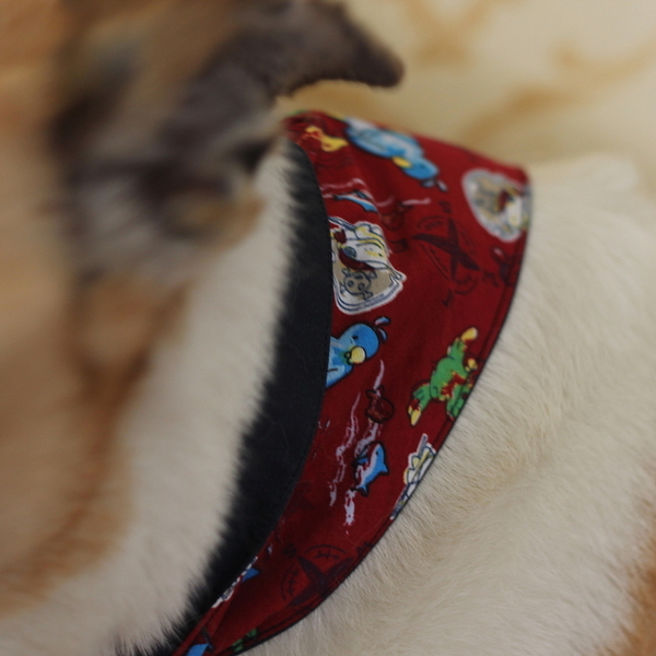 Μπαντάνα Σκύλου ή Γάτας "Pirates" - βαμβάκι, ιδιαίτερο, γάτα, χειροποίητα, σκυλάκι, must αξεσουάρ - 5