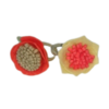 Tiny 20210519184915 262ac7c8 lastichakia mallion koralli