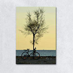 Μοναξιά.... ποδήλατο, δέντρο, θάλασσα, καμβάς, φωτογραφία - καλοκαίρι, καμβάς, χαρτί, αφίσες, παραλία - 3