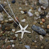 Tiny 20180720140648 4f59577e starfish necklace silver