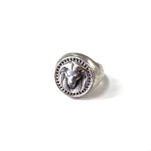 Ασημένιο Δαχτυλίδι Λιοντάρι - ασήμι, χειροποίητα, boho, boho, σταθερά, λιοντάρι