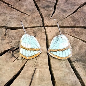 φυσικά φτερά πεταλούδας /Earrings from real butterfly wings. - ασήμι, γυαλί, πεταλούδα, κρεμαστά - 2