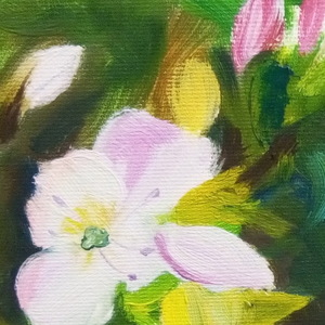 "Ανοιξιάτικα χρώματα" - πίνακες & κάδρα, λουλούδια, άνοιξη, πίνακες ζωγραφικής - 2