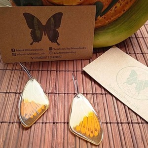 Σκουλαρίκια από φυσικά φτερά πεταλούδας / Earrings from real butterfly wings. - κρεμαστά - 3