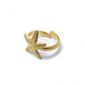 " Αστερίας " - Χειροποίητο επίχρυσο-επάργυρο δαχτυλίδι με σχέδιο αστερία της θάλασσας! - καλοκαίρι, επιχρυσωμένα, επάργυρα, boho, αστερίας, αυξομειούμενα, φθηνά
