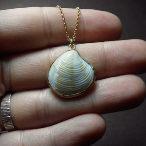 " Golden Seashell " - Χειροποίητο επίχρυσο μενταγιόν με φυσικό κοχύλι της Θάλασσας - επιχρυσωμένα, κοχύλι, κοντά, αστερίας, αξεσουάρ παραλίας, μενταγιόν - 5