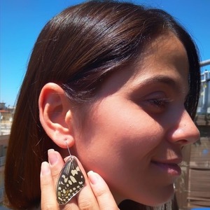 Σκουλαρικια από φυσικά φτερά πεταλούδας/Earrings from real butterfly wings. - boho, κρεμαστά, μεγάλα - 2