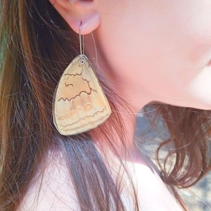 Σκουλαρίκια με φτερά πεταλούδας/ Earrings from real butterfly wings. - μακριά, boho, κρεμαστά, μεγάλα - 3