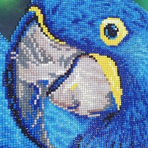 Πίνακας Diamond Painting "Blue macaws" - πίνακες & κάδρα, πίνακες ζωγραφικής - 2
