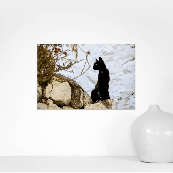 Κάδρο 50*35. «Νίσυρος». Εκτύπωση φωτογραφίας σε υλικό foam πάχους 1εκ. - πίνακες & κάδρα, διακόσμηση, γάτα - 2