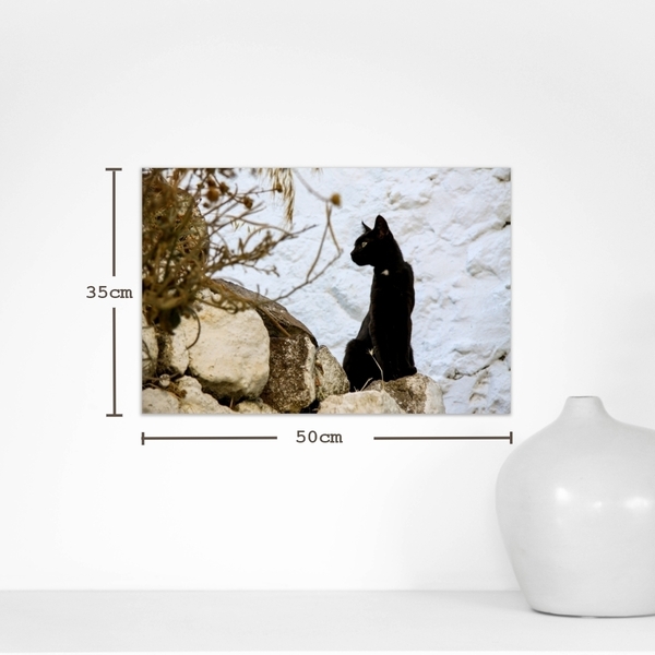 Κάδρο 50*35. «Νίσυρος». Εκτύπωση φωτογραφίας σε υλικό foam πάχους 1εκ. - πίνακες & κάδρα, διακόσμηση, γάτα - 3