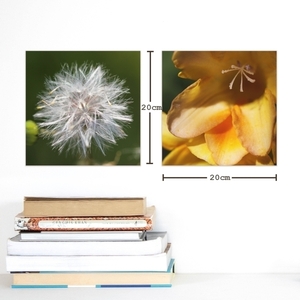 Κάδρο 20*20 εκ. |Άνθος | Εκτύπωση φωτογραφίας σε καμβά τελαρωμένο σε ξύλο 2x2 εκ. | Χρώμα πορτοκαλί, καφέ, κίτρινο, πράσινο - πίνακες & κάδρα, διακόσμηση, φλοράλ, minimal - 3