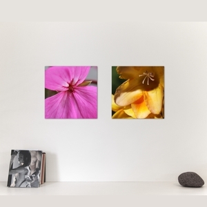 Κάδρο 20*20 εκ. |Άνθος | Εκτύπωση φωτογραφίας σε καμβά τελαρωμένο σε ξύλο 2x2 εκ. | Χρώμα πορτοκαλί, καφέ, κίτρινο, πράσινο - πίνακες & κάδρα, διακόσμηση, φλοράλ, minimal - 4
