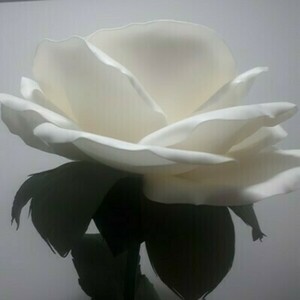 Φωτιστικό Δαπέδου Τριαντάφυλλο - δώρο, διακόσμηση σαλονιού - 2