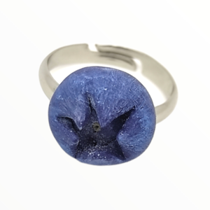 Χειροποίητο Δαχτυλίδι μύρτιλο blueberries ,κοσμήματα απομίμησης φρούτων Mimitopia - πηλός, καρπούζι, boho, αυξομειούμενα, φθηνά