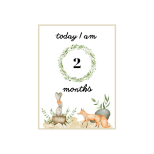 Αναμνηστικές Κάρτες Πρώτου Χρόνου για Μωρά με θέμα τα Ζωάκια του Δάσους 11x15εκ milestone - κορίτσι, αγόρι, αναμνηστικά, δώρα για μωρά, κάρτες - 2