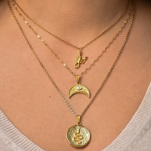 Ατσάλινο χρυσό κολιέ με επίχρυσο στοιχείο φίδι - μήκος: 50cm + 6cm επέκταση αλυσίδας - charms, επιχρυσωμένα, μακριά, ατσάλι, boho - 5