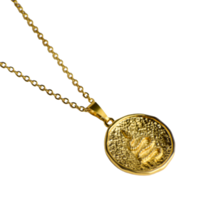 Ατσάλινο χρυσό κολιέ με επίχρυσο στοιχείο φίδι - μήκος: 50cm + 6cm επέκταση αλυσίδας - charms, επιχρυσωμένα, μακριά, ατσάλι, boho