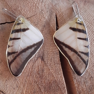Φτερό αληθινης πεταλούδας σε άσπρο-μαύρο χρωμα με υγρό γυαλί. - γυαλί, ατσάλι, boho, κρεμαστά, γάντζος - 2