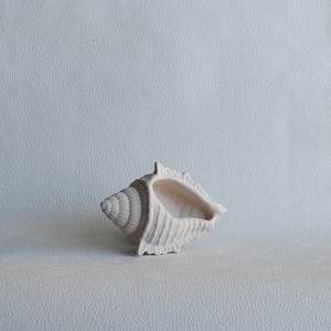 Διακοσμητικό Κοχύλι από τσιμέντο Μπεζ 18cm | Concrete - διακόσμηση, κοχύλι, τσιμέντο, πιατάκια & δίσκοι