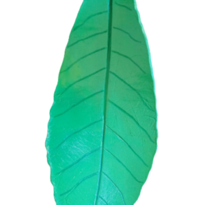 Διακοσμητικό πήλινο φύλλο πράσινο 30Χ11εκ. ΜΗΤΕΡΑ apois - πηλός, φύλλο, διακοσμητικά, Black Friday - 3