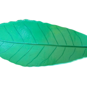 Διακοσμητικό πήλινο φύλλο πράσινο 30Χ11εκ. ΜΗΤΕΡΑ apois - πηλός, φύλλο, διακοσμητικά, Black Friday - 4