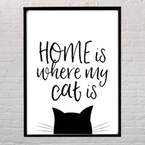 Κάδρο " για αυτούς που αγαπούν τις γάτες ¨ με μαύρη κορνίζα (31 χ 22 εκ. ) - πίνακες & κάδρα, γατούλα, ζωάκια - 3