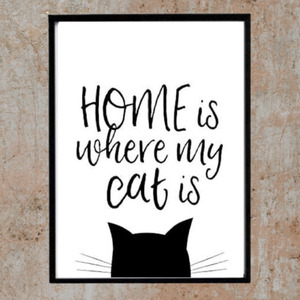 Κάδρο " για αυτούς που αγαπούν τις γάτες ¨ με μαύρη κορνίζα (31 χ 22 εκ. ) - πίνακες & κάδρα, γατούλα, ζωάκια - 4