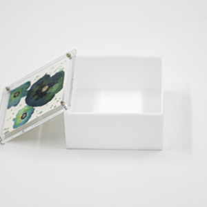 Κουτί από plexi glass λευκή βάση- διάφανο καπάκι και ζωγραφισμένους πανσέδες (πράσινο) - κουτί, οργάνωση & αποθήκευση, plexi glass, λουλουδάτο - 3