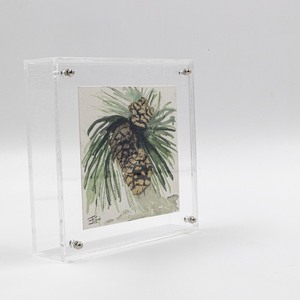 Κουτί διακοσμητικό plexi glass με κλαδί πεύκου - οργάνωση & αποθήκευση, plexi glass, κουκουνάρι