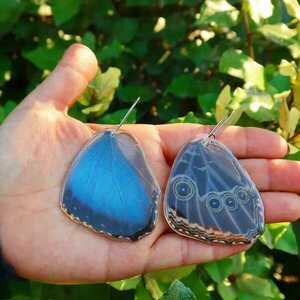 Μπλε / Καφέ διπλής όψεως σκουλαρίκια με αληθινά φτερά πεταλούδας και γάτους από χειρουργικό ατσάλι. - πεταλούδα, ατσάλι, boho, κρεμαστά, γάντζος - 2