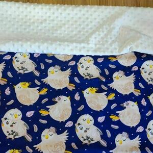 Βρεφική κουβέρτα διπλής όψεως minky singing owls - κουκουβάγια, δώρο για βάφτιση, κουβέρτες - 4
