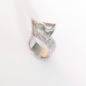 "Ammos Ring" - ασήμι 925, φτερό, σταθερά, μεγάλα