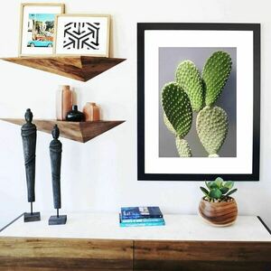 Ψηφιακή δημιουργία //dezain cactus click - αφίσες, κάκτος - 5