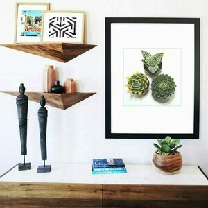 Ψηφιακή δημιουργία //dezain succulent 3 - αφίσες, κάκτος, καλλιτεχνική φωτογραφία - 5