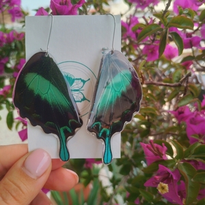 Papilio Blumei, Blue-Green Swallowtail. Μεγάλη πεταλούδα σε αποχρώσεις πράσινο -μαύρο. - γυαλί, boho, κρεμαστά, μεγάλα, γάντζος