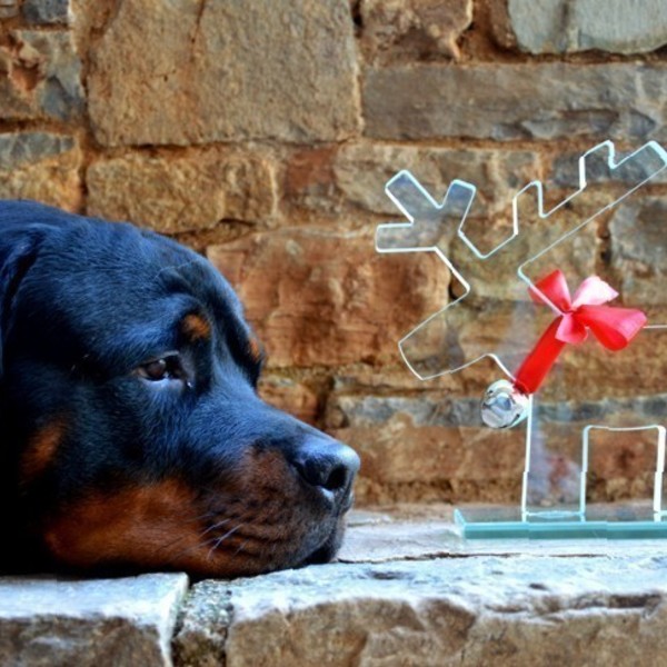 Glass Rudolf "Leonidas and his gang" large breed - γυαλί, design, διακοσμητικά - 4