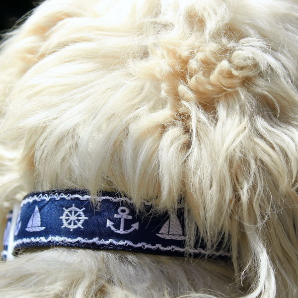 Λουράκι Σκύλου "Cool Loorita: Navy" - κορδέλα, κρίκοι, σκυλάκι - 3