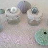 Tiny 20170801194327 bf3c05ab white urchin ring