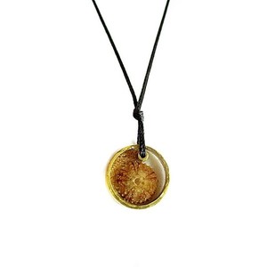 summer necklace #2| χειροποιητο κολιε αχινος υγρο γυαλι minimal - chic, μονόχρωμες, fashion, καλοκαιρινό, κλασσικό, γυαλί, γυαλί, κερωμένα κορδόνια, κερωμένα κορδόνια, μόδα, ιδιαίτερο, μοναδικό, μοντέρνο, καλοκαίρι, στρογγυλό, ανοιξιάτικο, μακρύ, κορίτσι, δώρο, κοχύλι, κοχύλι, cute, κορδόνια, γεωμετρικά σχέδια, χειροποίητα, εντυπωσιακό, για όλες τις ώρες, minimal, must, κλασσικά, κοντά, unisex, unique, ethnic, ευκολοφόρετο, διαχρονικό, αχινός, αχινός, μπρούντζος, μπρούντζος, κρεμαστά, amano, contemporary, για παιδιά, αυξομειούμενα, μενταγιόν