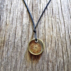 summer necklace #2| χειροποιητο κολιε αχινος υγρο γυαλι minimal - chic, μονόχρωμες, fashion, καλοκαιρινό, κλασσικό, γυαλί, γυαλί, κερωμένα κορδόνια, κερωμένα κορδόνια, μόδα, ιδιαίτερο, μοναδικό, μοντέρνο, καλοκαίρι, στρογγυλό, ανοιξιάτικο, μακρύ, κορίτσι, δώρο, κοχύλι, κοχύλι, cute, κορδόνια, γεωμετρικά σχέδια, χειροποίητα, εντυπωσιακό, για όλες τις ώρες, minimal, must, κλασσικά, κοντά, unisex, unique, ethnic, ευκολοφόρετο, διαχρονικό, αχινός, αχινός, μπρούντζος, μπρούντζος, κρεμαστά, amano, contemporary, για παιδιά, αυξομειούμενα, μενταγιόν - 2