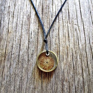 summer necklace #2| χειροποιητο κολιε αχινος υγρο γυαλι minimal - chic, μονόχρωμες, fashion, καλοκαιρινό, κλασσικό, γυαλί, γυαλί, κερωμένα κορδόνια, κερωμένα κορδόνια, μόδα, ιδιαίτερο, μοναδικό, μοντέρνο, καλοκαίρι, στρογγυλό, ανοιξιάτικο, μακρύ, κορίτσι, δώρο, κοχύλι, κοχύλι, cute, κορδόνια, γεωμετρικά σχέδια, χειροποίητα, εντυπωσιακό, για όλες τις ώρες, minimal, must, κλασσικά, κοντά, casual, unisex, unique, ethnic, ευκολοφόρετο, διαχρονικό, αχινός, αχινός, μπρούντζος, μπρούντζος, κρεμαστά, amano, contemporary, για παιδιά, αυξομειούμενα, μενταγιόν - 2