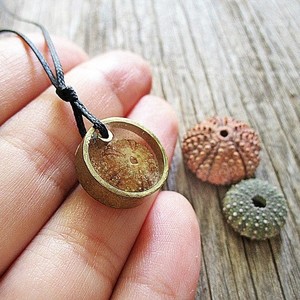 summer necklace #2| χειροποιητο κολιε αχινος υγρο γυαλι minimal - chic, μονόχρωμες, fashion, καλοκαιρινό, κλασσικό, γυαλί, γυαλί, κερωμένα κορδόνια, κερωμένα κορδόνια, μόδα, ιδιαίτερο, μοναδικό, μοντέρνο, καλοκαίρι, στρογγυλό, ανοιξιάτικο, μακρύ, κορίτσι, δώρο, κοχύλι, κοχύλι, cute, κορδόνια, γεωμετρικά σχέδια, χειροποίητα, εντυπωσιακό, για όλες τις ώρες, minimal, must, κλασσικά, κοντά, unisex, unique, ethnic, ευκολοφόρετο, διαχρονικό, αχινός, αχινός, μπρούντζος, μπρούντζος, κρεμαστά, amano, contemporary, για παιδιά, αυξομειούμενα, μενταγιόν - 3
