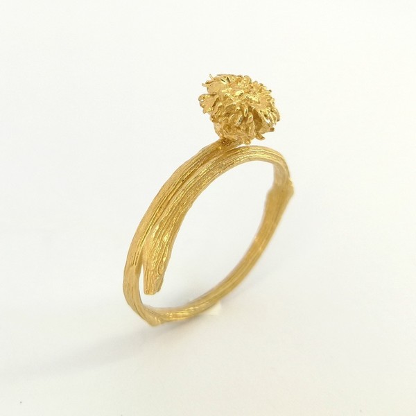 Βελανίδι Δαχτυλίδι Χρυσό - επιχρυσωμένα, επιχρυσωμένα, ασήμι 925, ασήμι 925, δαχτυλίδι, αυξομειούμενα
