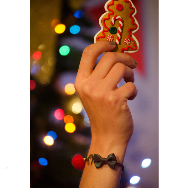Horseshoe Lucky Charm - γούρι, charms, φιόγκος, romantic, αστέρι, χριστουγεννιάτικο, ατσάλι, ύφασμα, ημιπολύτιμες πέτρες, χάντρες, αιματίτης, κόσμημα, αυξομειούμενα, pom pom, γούρια κοσμήματα, γούρια - 3