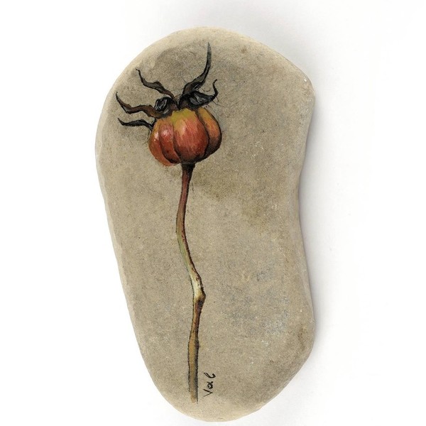 Καρπός τριανταφυλλιάς - ζωγραφισμένα στο χέρι, πέτρα, δώρο, διακόσμηση, διακοσμητικές πέτρες